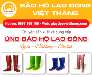 Công Ty TNHH Sản Xuất - Thương Mại - Dịch Vụ Việt Thắng