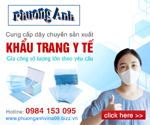 Công Ty TNHH Thương Mại Phương Anh Vina - Khẩu Trang